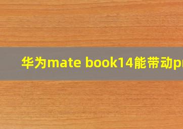 华为mate book14能带动pr么